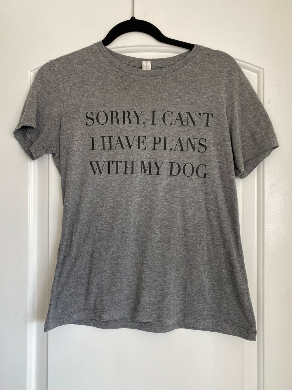 Dog Lover Tee - Bella Canvas "Sorry, I Can't I Have Plans With My Dog" Gray S